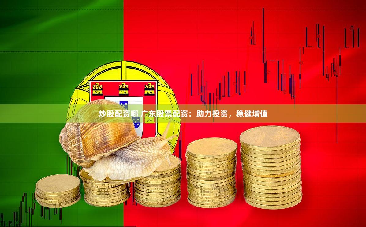 炒股配资哪 广东股票配资：助力投资，稳健增值