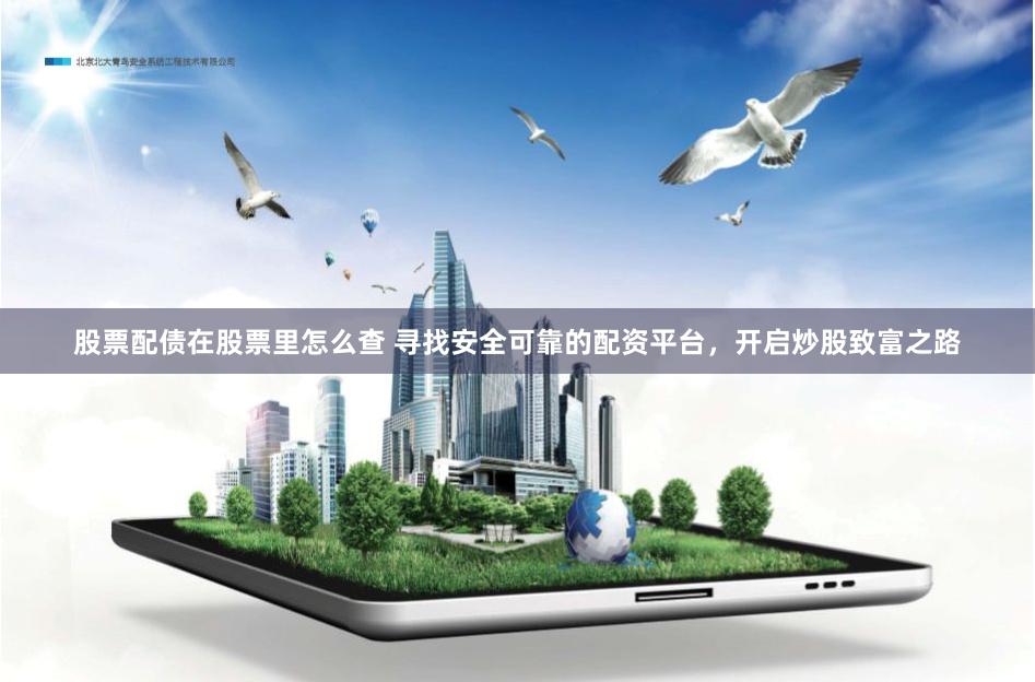 股票配债在股票里怎么查 寻找安全可靠的配资平台，开启炒股致富之路