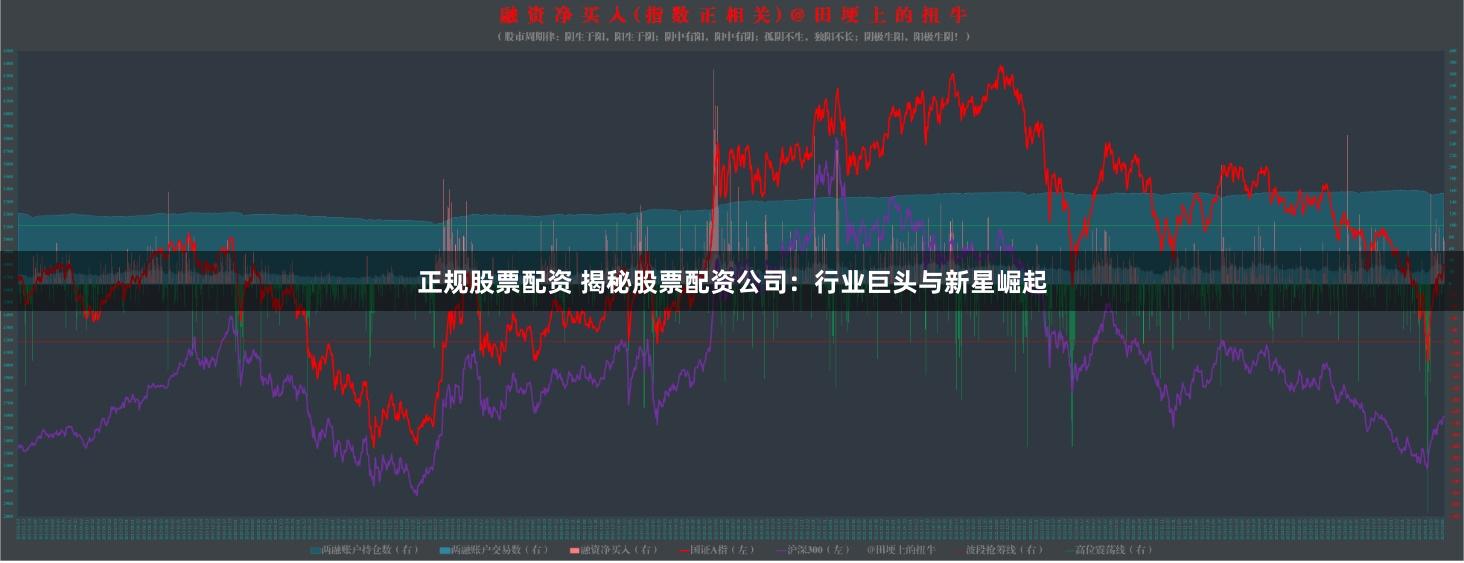 正规股票配资 揭秘股票配资公司：行业巨头与新星崛起