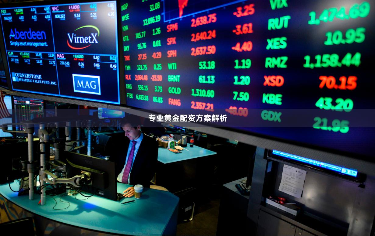 专业黄金配资方案解析